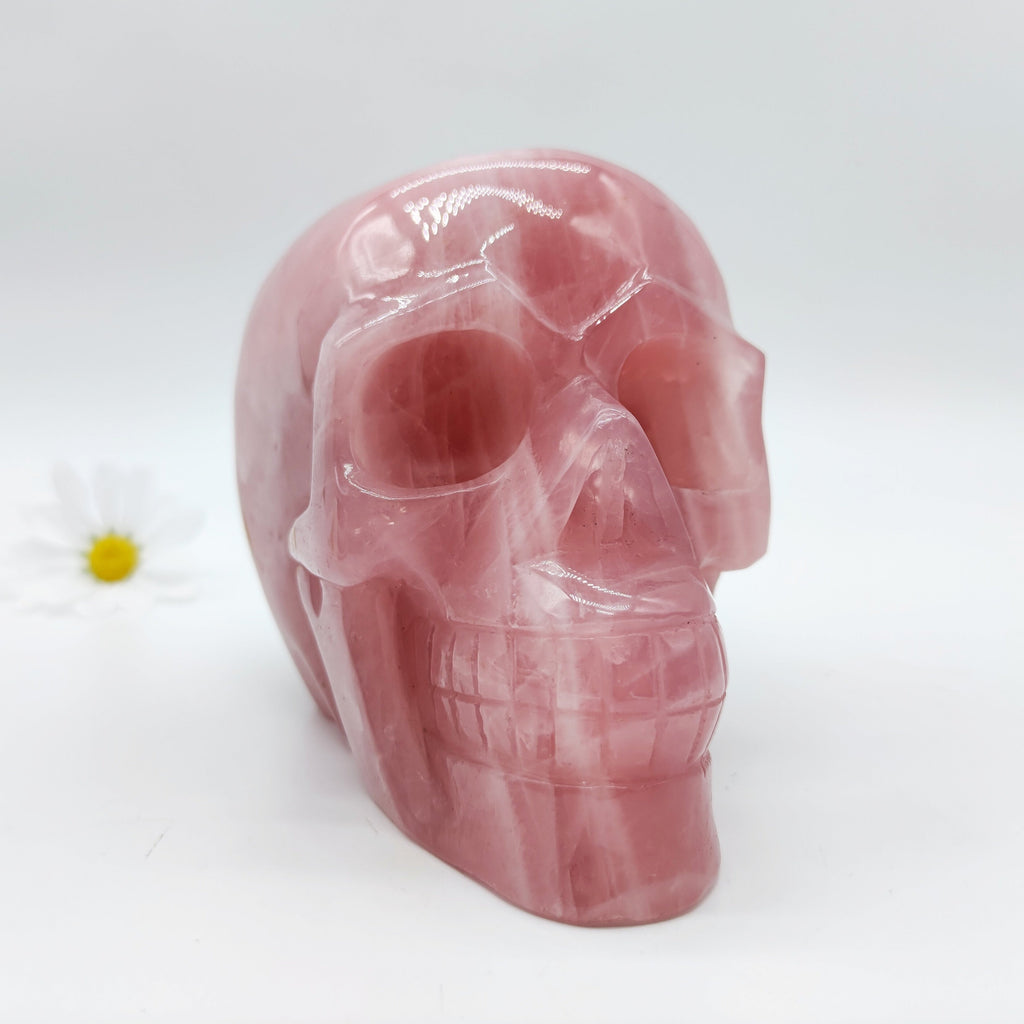 Unique Rose Quartz Huge Skull