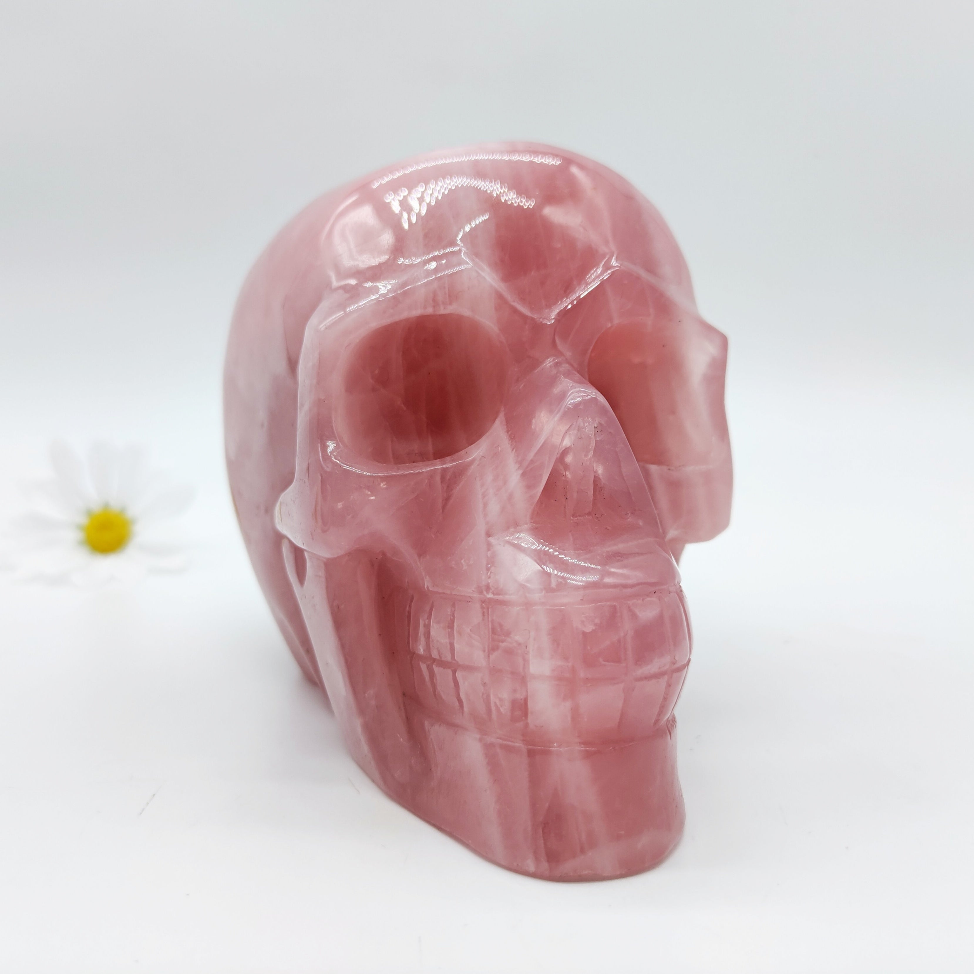 Unique Rose Quartz Huge Skull