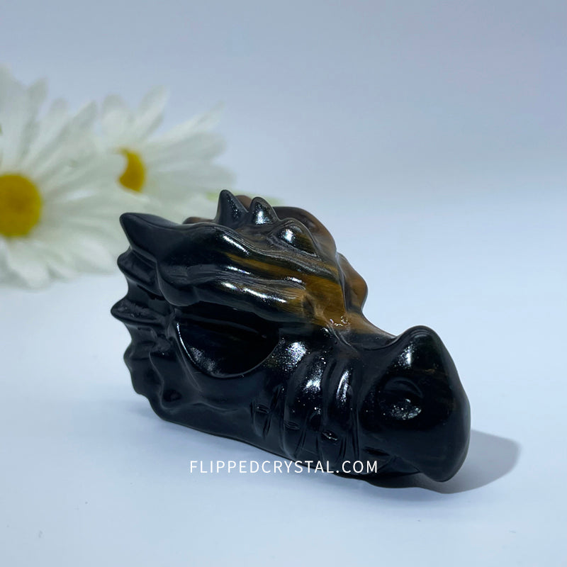 Tiger eye Dargon Head