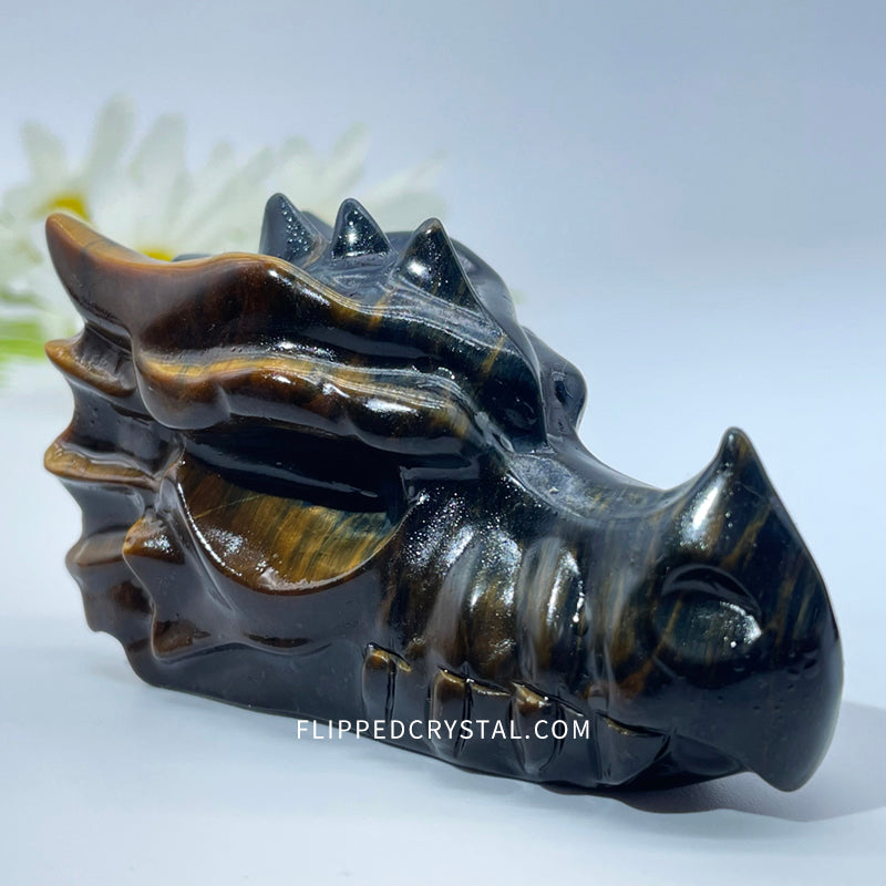 Tiger eye Dargon Head