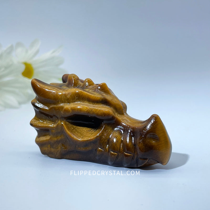 Tiger eye Dargon Head