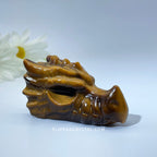 Tiger eye Dargon Head