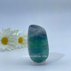 Fluorite  Palm £¨$40/KG)