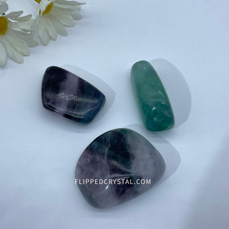 Fluorite  Palm £¨$40/KG)