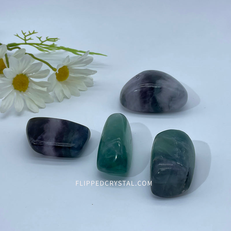 Fluorite  Palm £¨$40/KG)