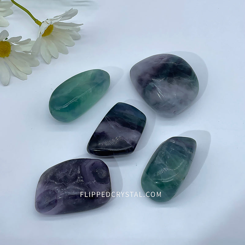 Fluorite  Palm £¨$40/KG)