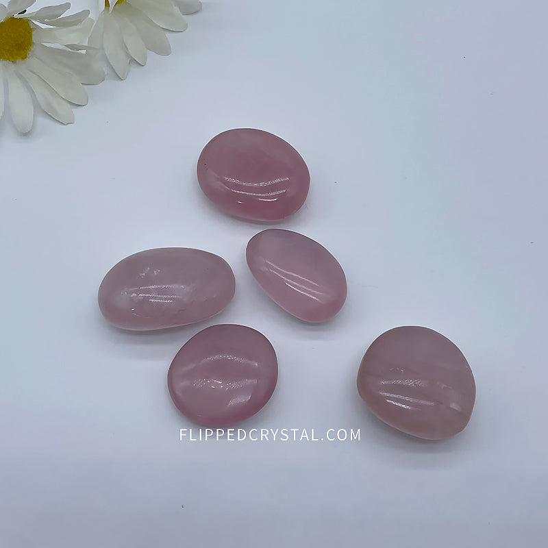 Rose Quartz palm£¨$55/KG   $35/KG )