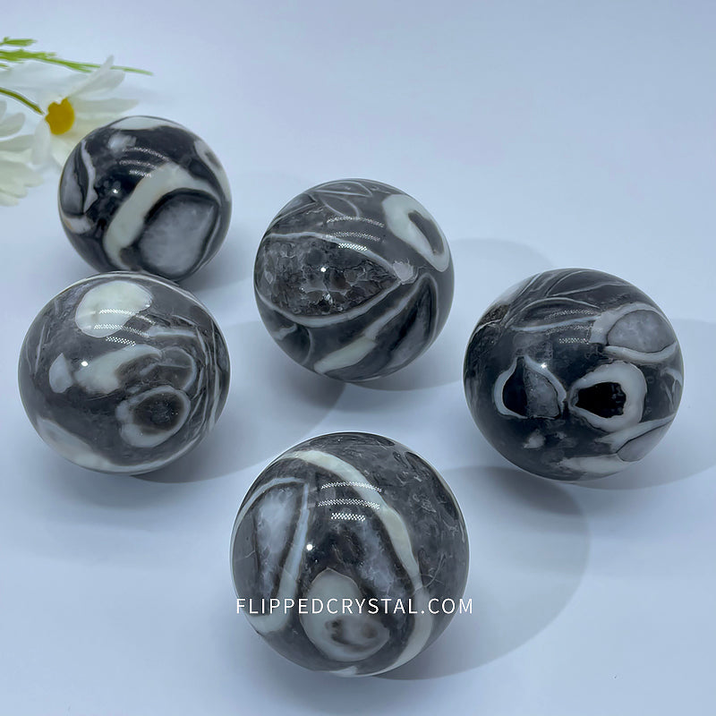 Shell Stone Sphere