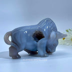 Agate geode bull