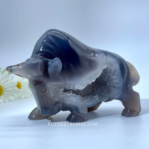 Agate geode bull
