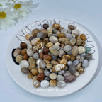 Coral Jasper Chips £¨$19/KG)