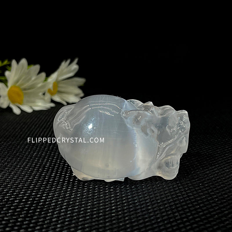Selenite Dragon Turtle
