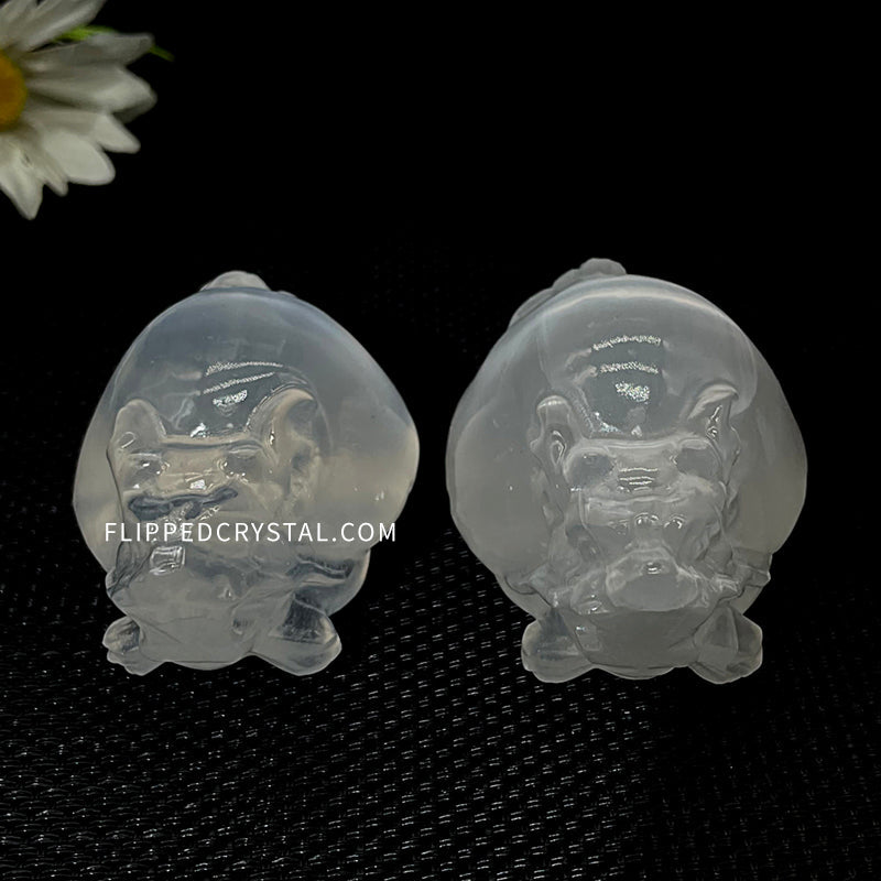 Selenite Dragon Turtle
