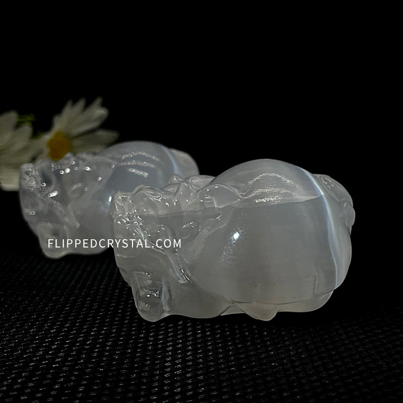 Selenite Dragon Turtle