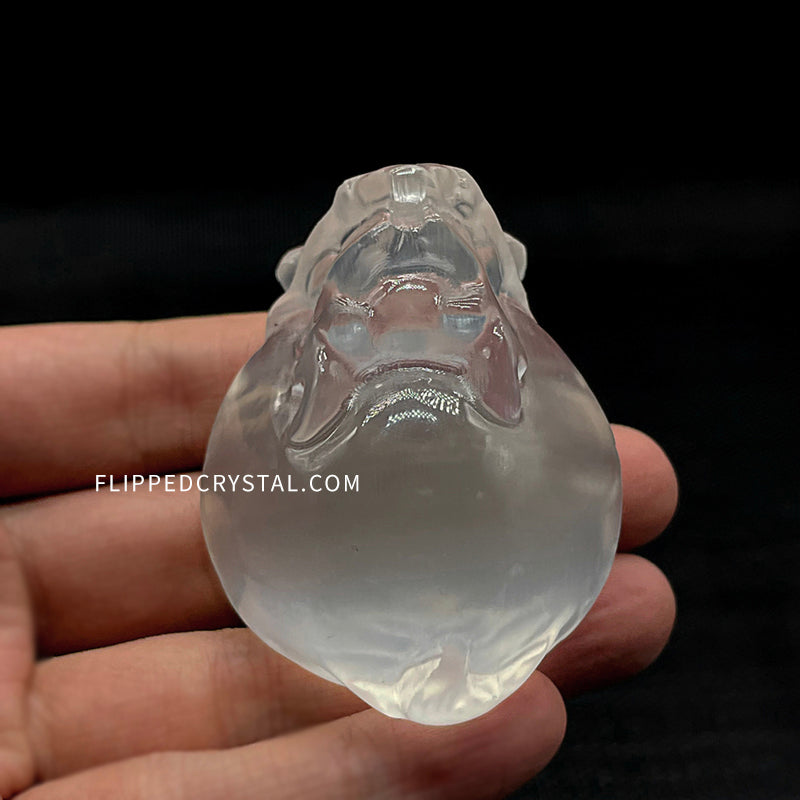 Selenite Dragon Turtle