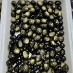 Golden Obsidian Egg