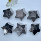 Silver Obsidian star