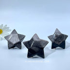 Silver Obsidian star