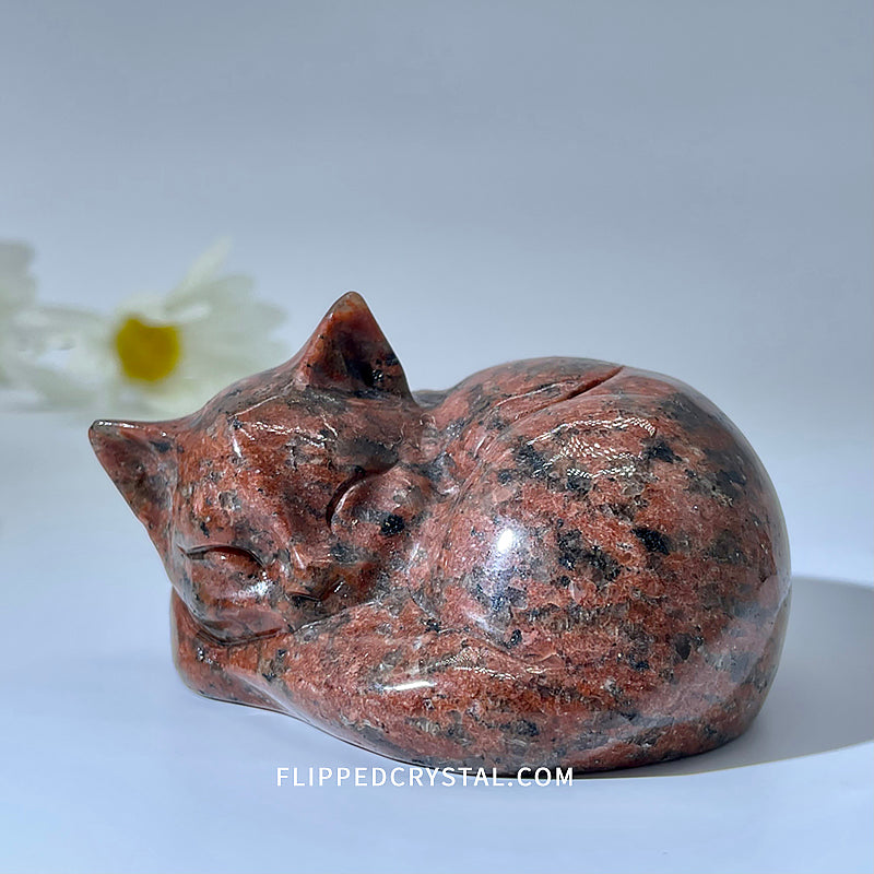 Sleeping Cat