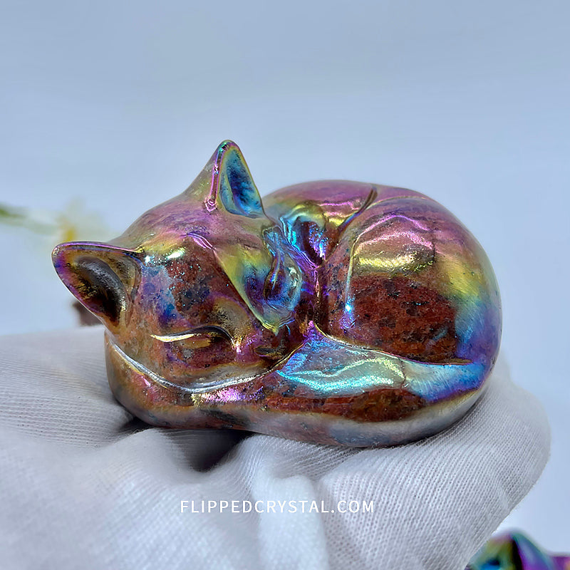 Sleeping Cat