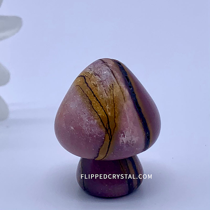 Mushroom Carving