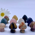 Mushroom Carving