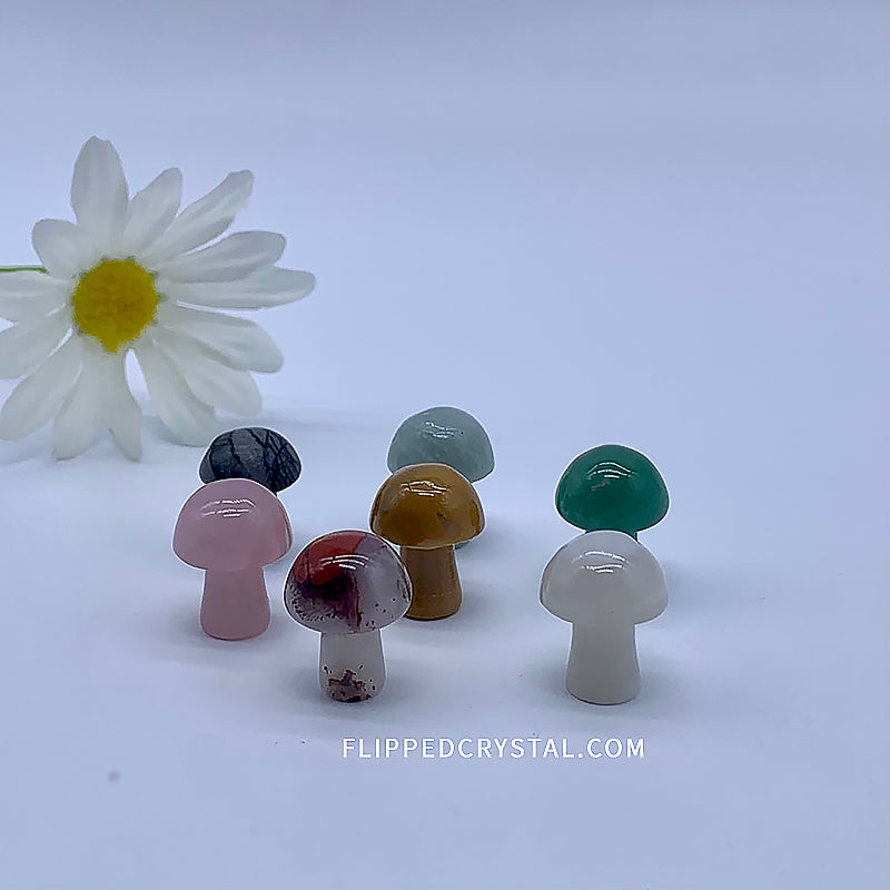 Small Mushroom Carving