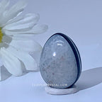 Egg