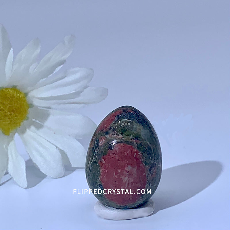 Egg
