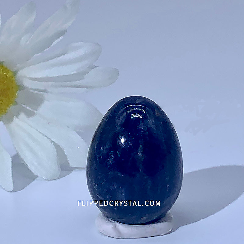 Egg
