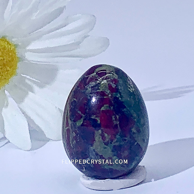 Egg