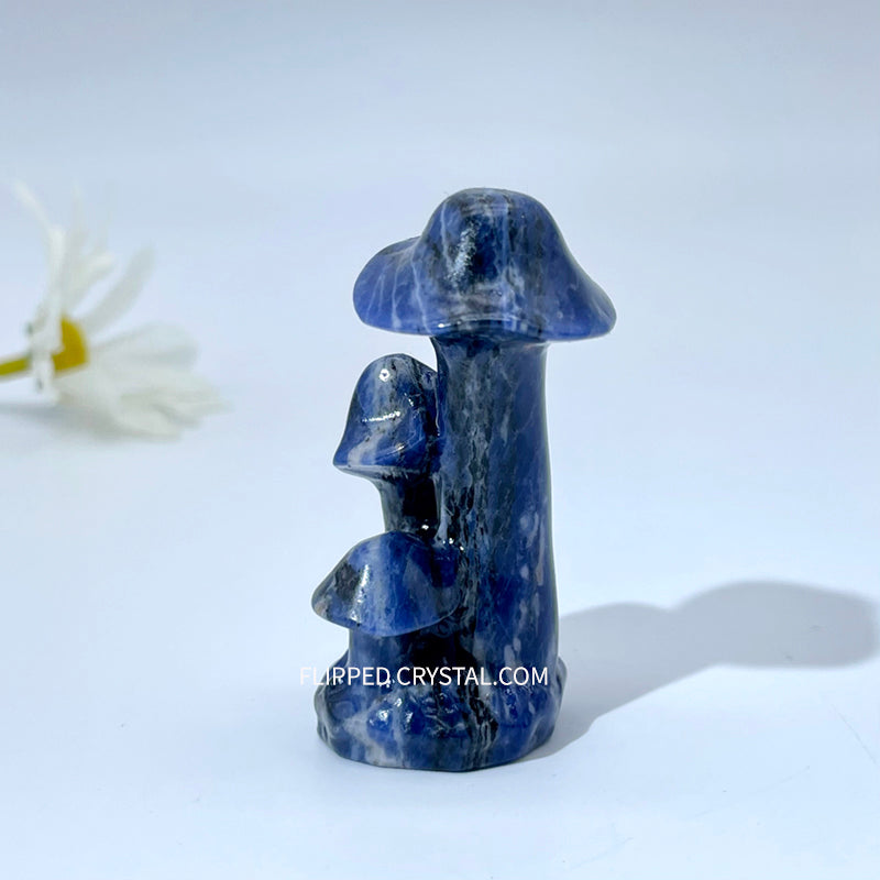 Mushroom