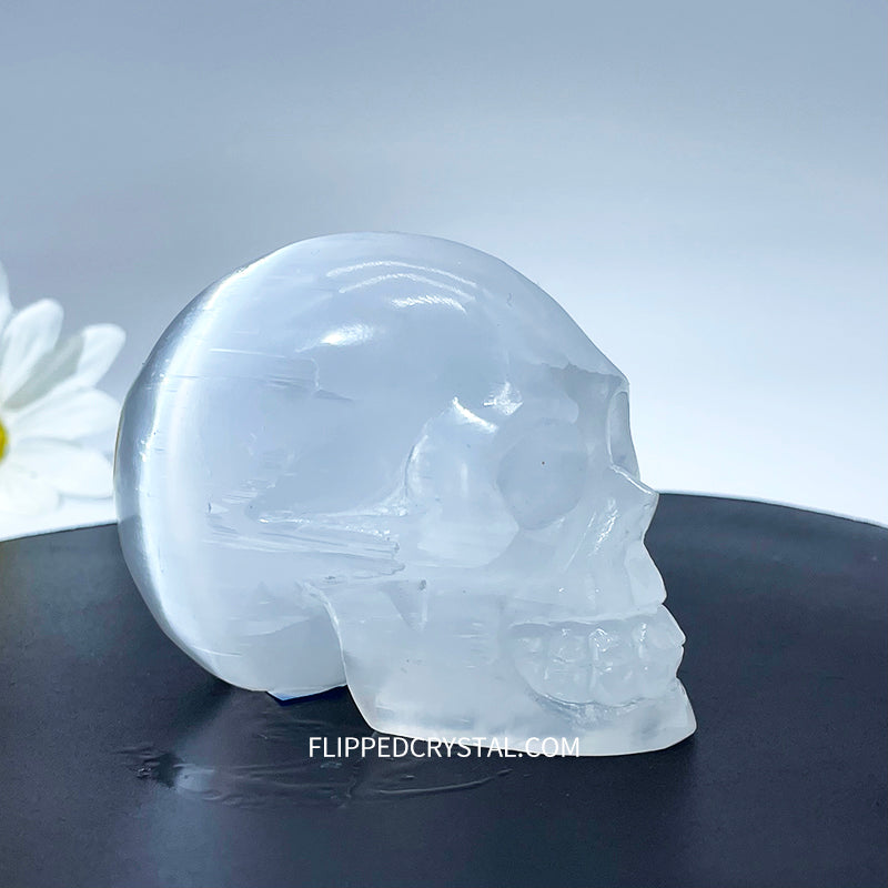 Selenite Skull  ( $125/kg )