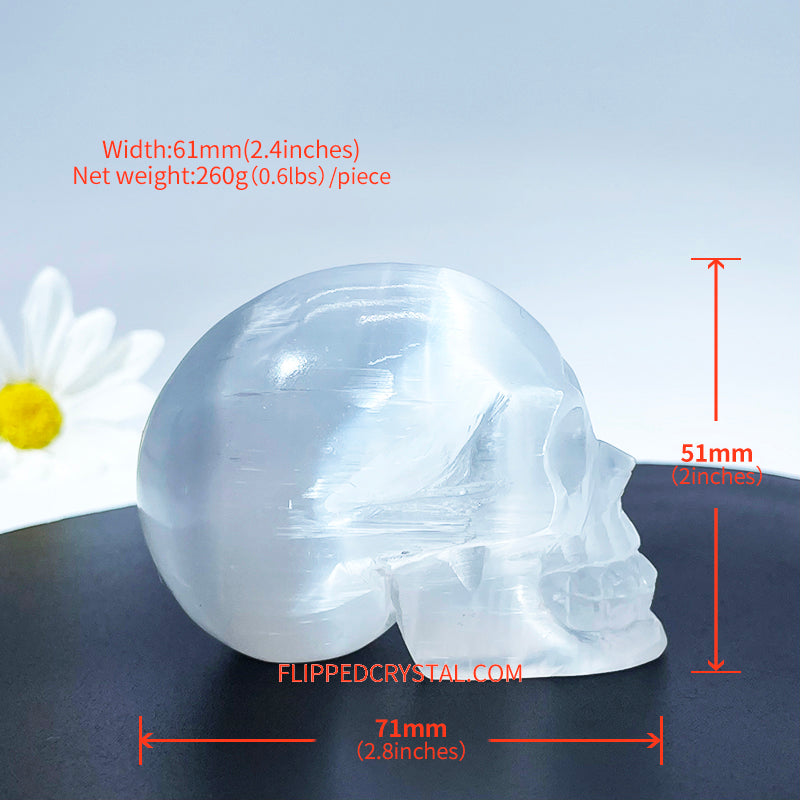 Selenite Skull  ( $125/kg )