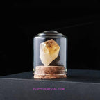 Specimen $50/set