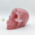 Unique Rose Quartz Huge Skull