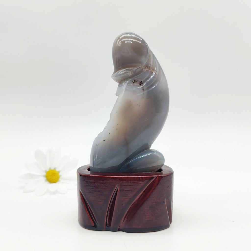 Agate Geode Dingding with Wooden Stand type 3