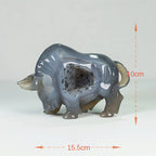 Agate Geode Bull