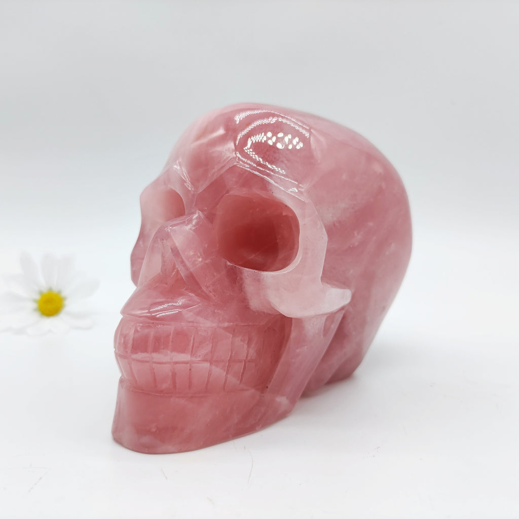 Unique Rose Quartz Huge Skull