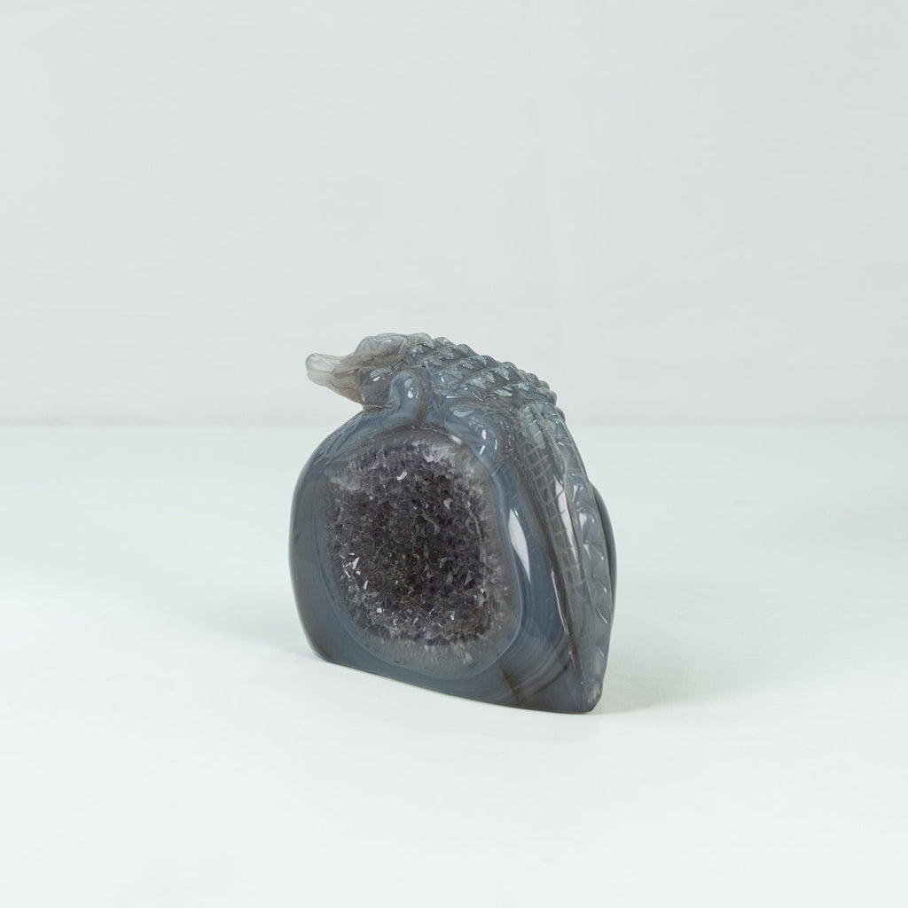 Agate Geode Crocodile