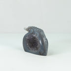 Agate Geode Crocodile