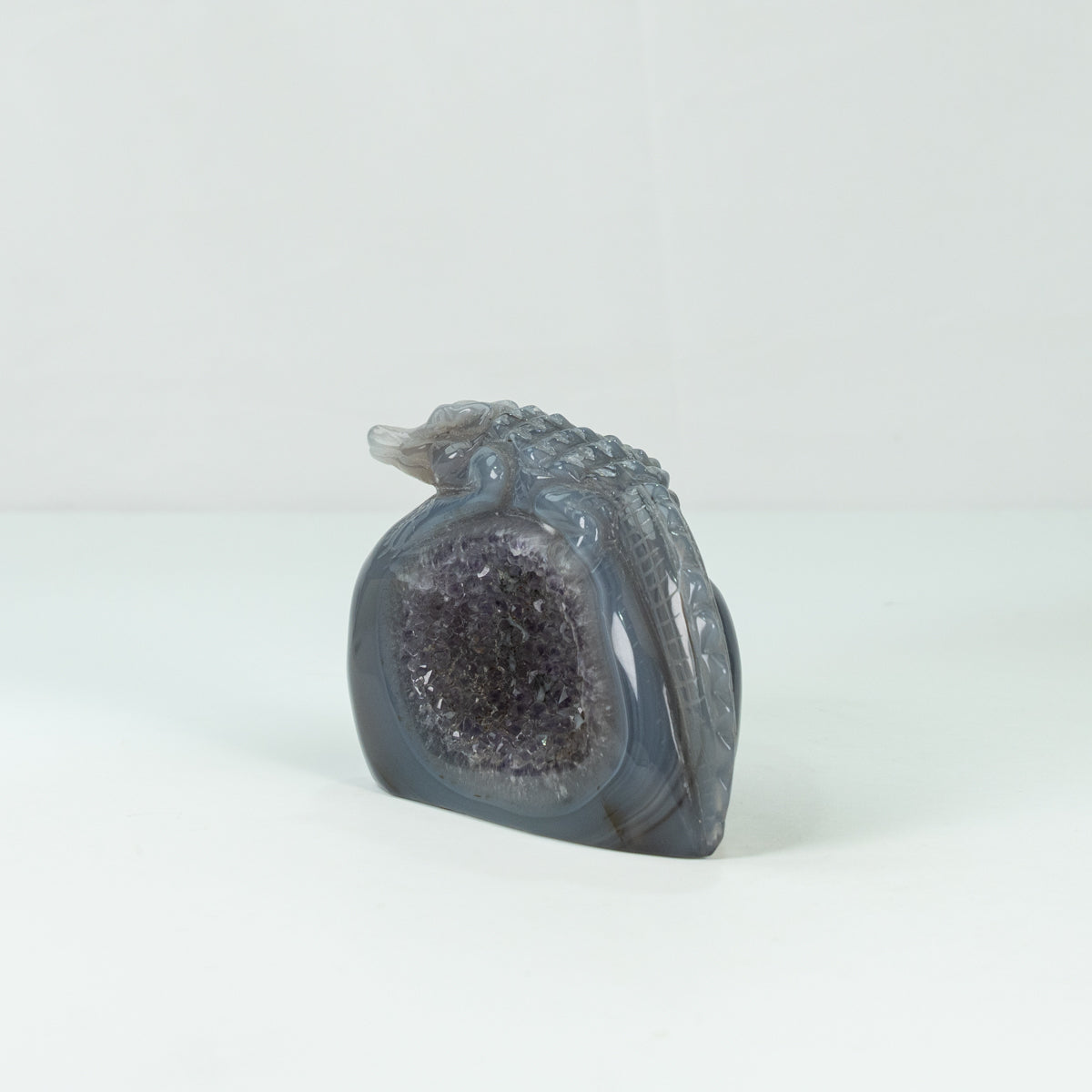 Agate Geode Crocodile