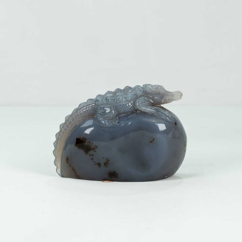 Agate Geode Crocodile