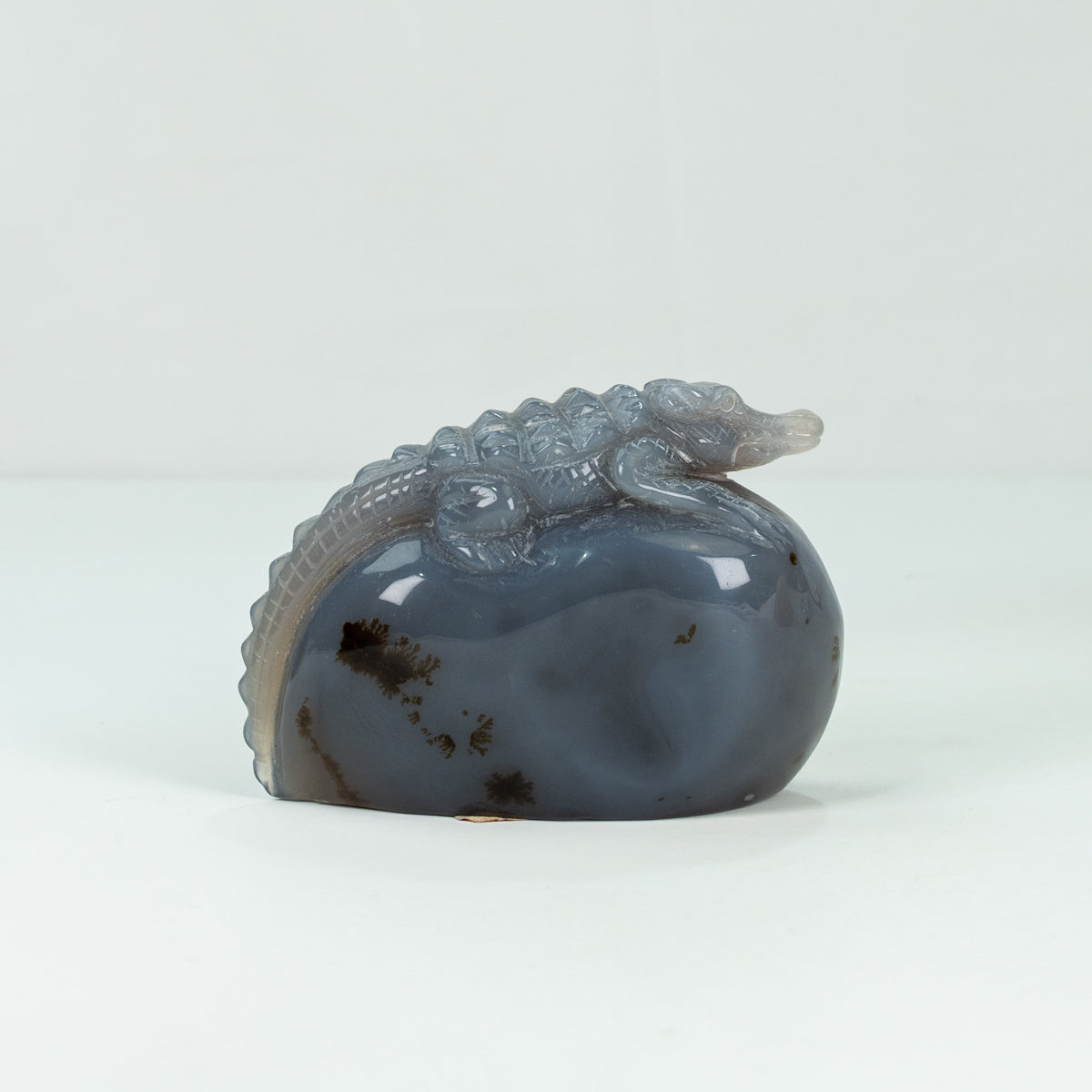 Agate Geode Crocodile