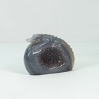 Agate Geode Crocodile
