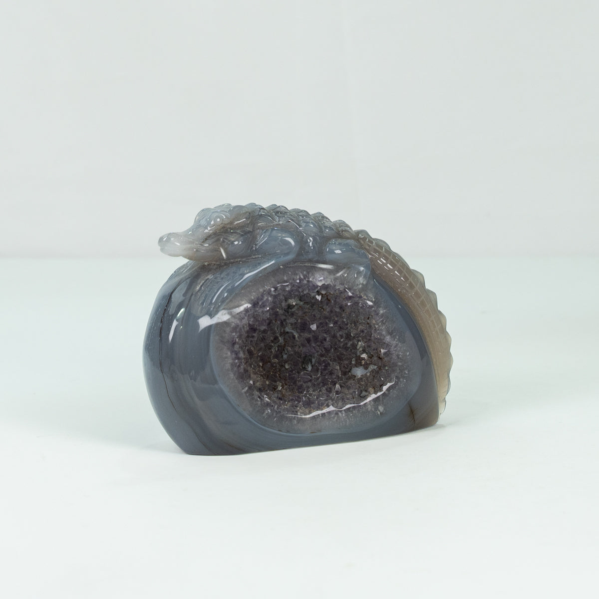 Agate Geode Crocodile