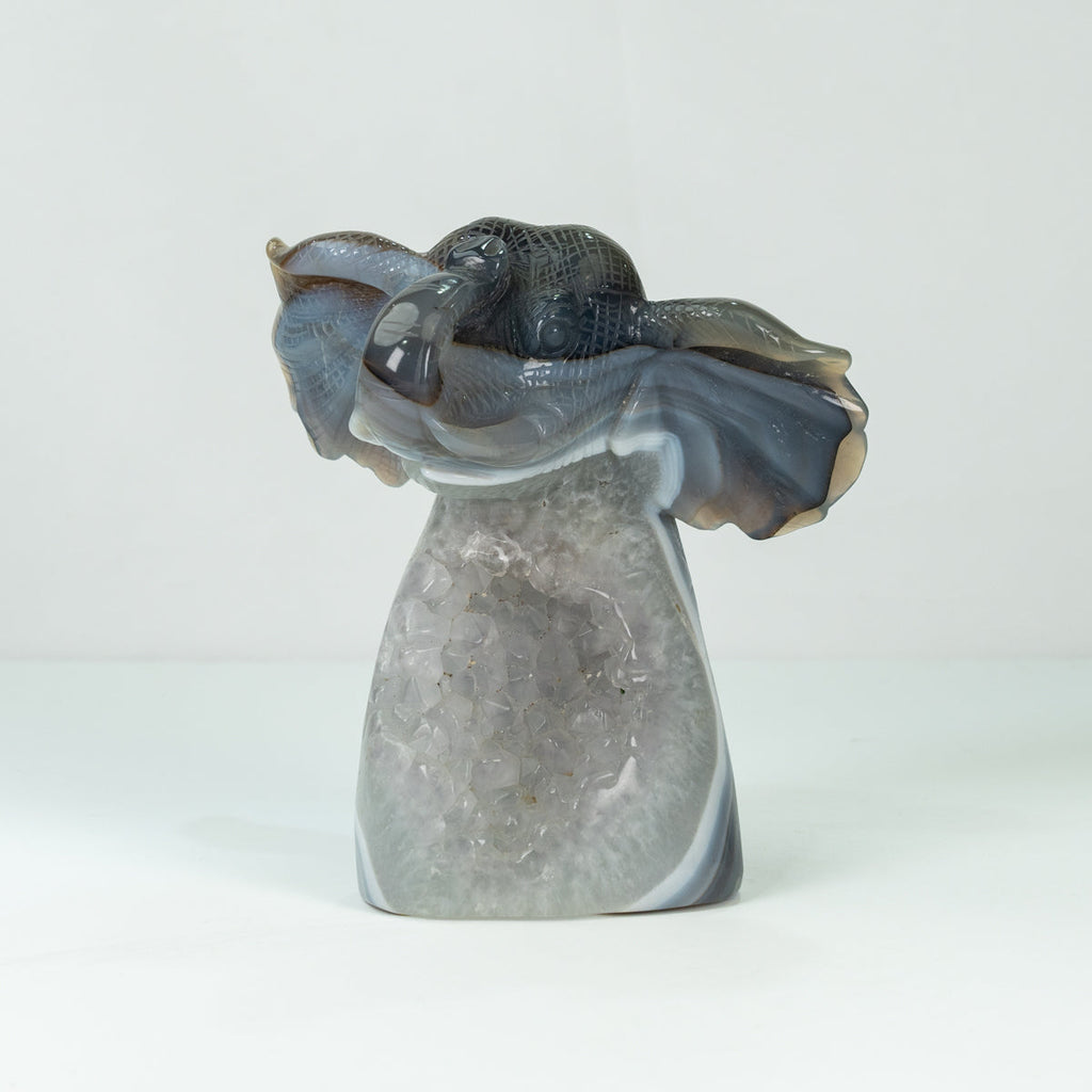Agate Geode Fly  Elephant Carving