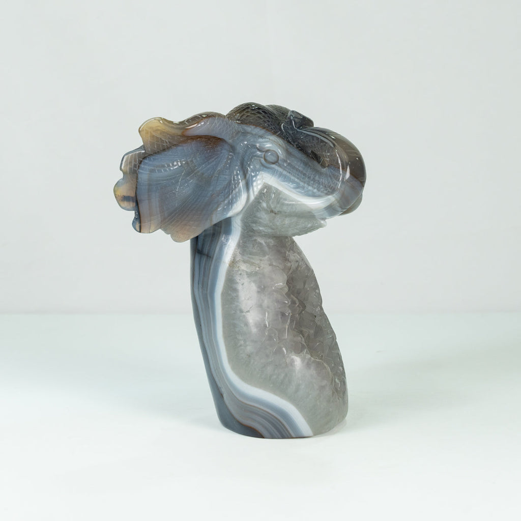 Agate Geode Fly  Elephant Carving