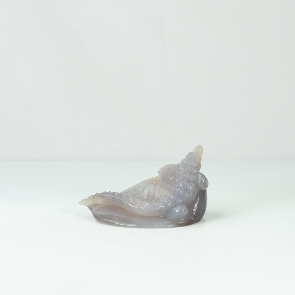 Agate Geode Crocodile