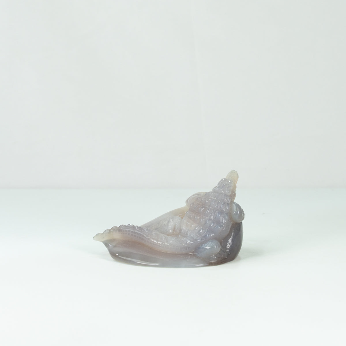 Agate Geode Crocodile